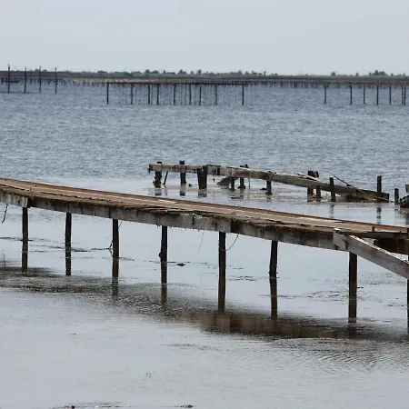 Cosy Face A L'etang De Thau, Proche Thermes Et Commerces, Balcon, Animaux Admis - Fr-1-503-7 شقة *